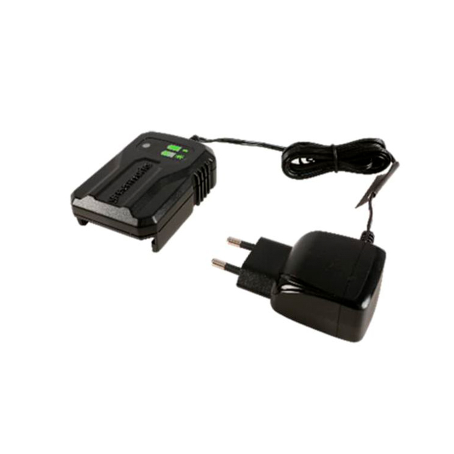 Зарядное устройство Greenworks G40UCM2M, 40V, 2A – купить оригинал ...